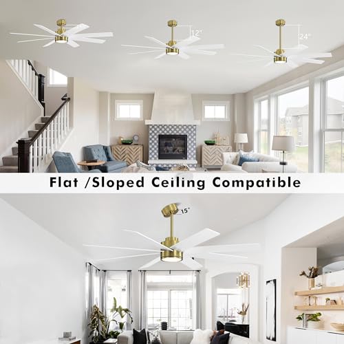 WINGBO 60 DC Ceiling Fan with Lights, Remote, and 6 Speeds - Indoor Use for Bedroom, Living Room, and Patio with Brass and White Finish