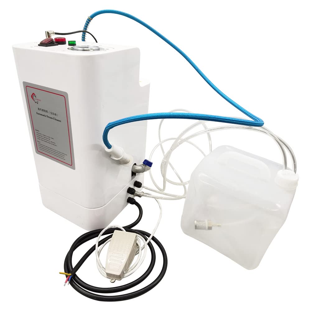 EQCOTWEA Jewelry Steam Cleaner Machine Professional Small Jewelry Steam Cleaner Automatic Steam Cleaning Machine High Temperature and High Pressure Steamer 5L Capacity 3000W 220V