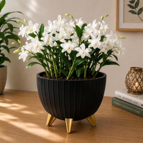 Image of (7 Inch) Plastic Gamala for Indoor Outdoor Plants with Stand, planters for Home Decor, Flower Pot with Legs, Flower Pot for Living Room, Garden, Pot for Office Table & Home (Black, 4)