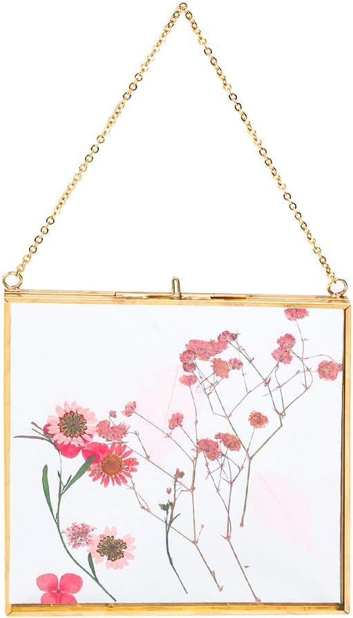 Wall Hanging Glass Frames for Pressed Flowers & Photos - Floating Frame (16x16cm)