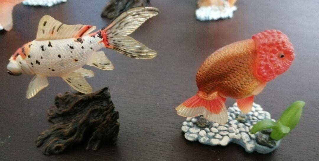 原色鑑賞魚図鑑I 金魚 フィギュア まとめ売り 原色観賞魚図鑑 金魚ミニチュアフィギュア 2体セット - メルカリ
