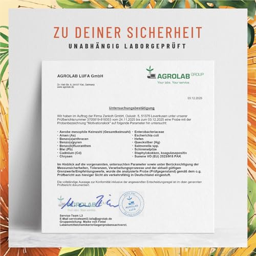 NATURTREU® Motivationskick - L-Tryptophan Kapseln kombiniert mit L-Tyrosin & L-Phenylalanin - Vegan und in Deutschland produziert