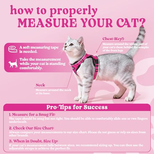 Image of rabbitgoo Cat Harness and Leash Set, Escape Proof Vest, Rose Red | Soft Breathable Mesh, Easy Adjustable Fit, Snap Buckles, Sturdy Clip, Reflective Strips, for Small & Average Cats Walks, Xs