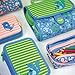Estuche milan kit 4 estuches con contenido coconut verde