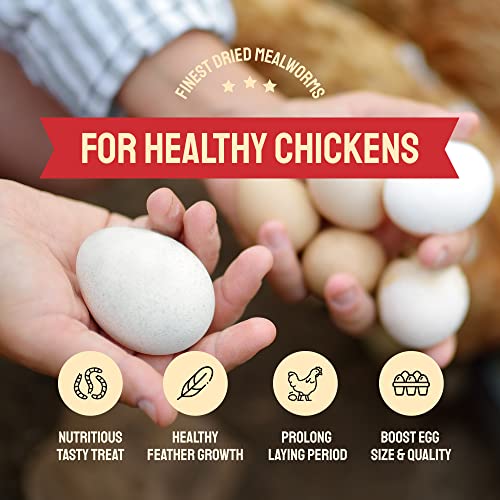 Hatortempt 5 lbs NonGMO Dried MealwormsHighProtein Mealworms for