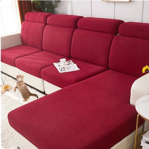 \t@[wJo[ NbVJo[ L JE`Jo[ Lkf ho kX^C   L  h~ [֗ lGʗp Mܐ Cbh M[3V[^[