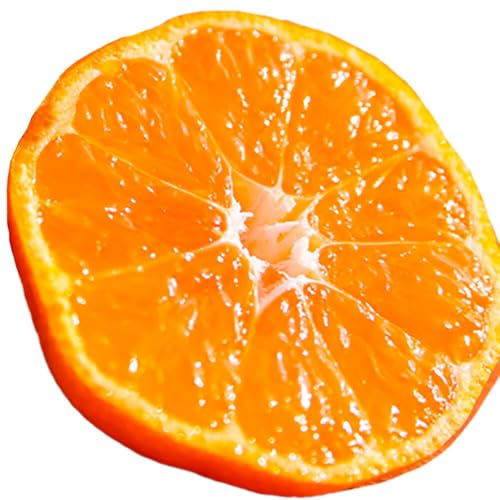 主井農園の松兵衛みかん ご家庭用 約5kg[11月中旬-1月上旬に発送予定(土日祝除く)]