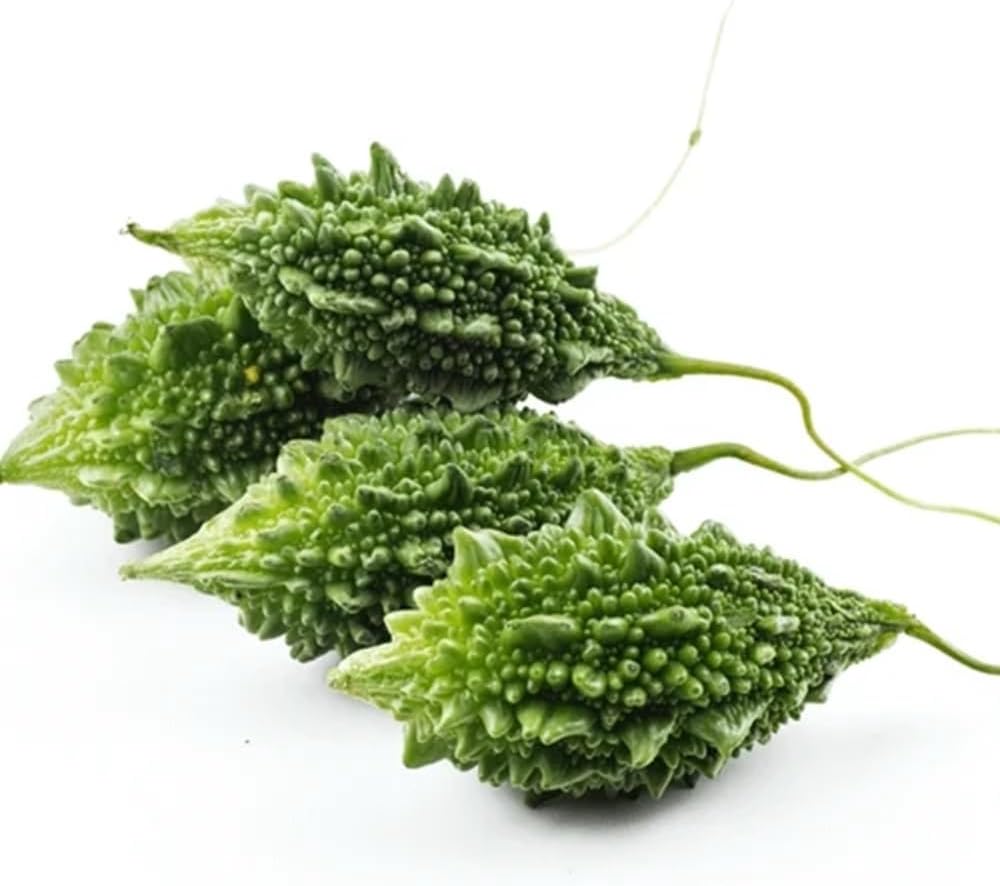Fresh Bitter Gourd Forest, 500g