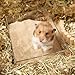 BUCATSTATE Hamster Bath Sand with Pour Spout Large Pack, 13.2LB Desert Bath Sand | No-Dust Potty Litter Calcium-Free Sand for Hamster Chinchillas Gerbil Mice Degu or Other Small Pets (2Pack-Fine Sand)