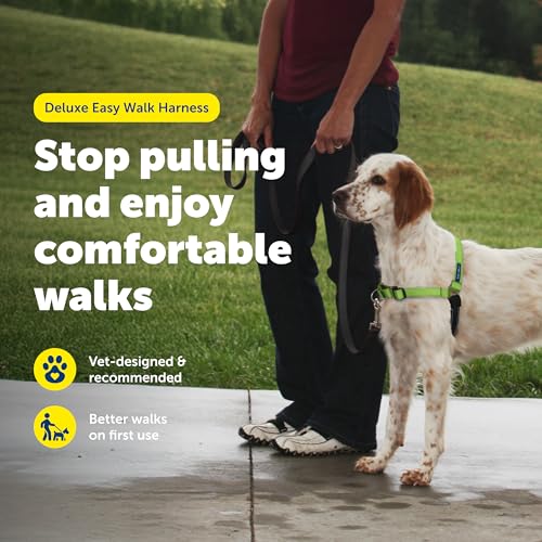 PetSafe Deluxe Easy Walk Hundegeschirr