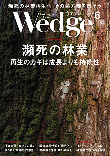 Wedge (ウェッジ) 2023年 6月号 [雑誌]