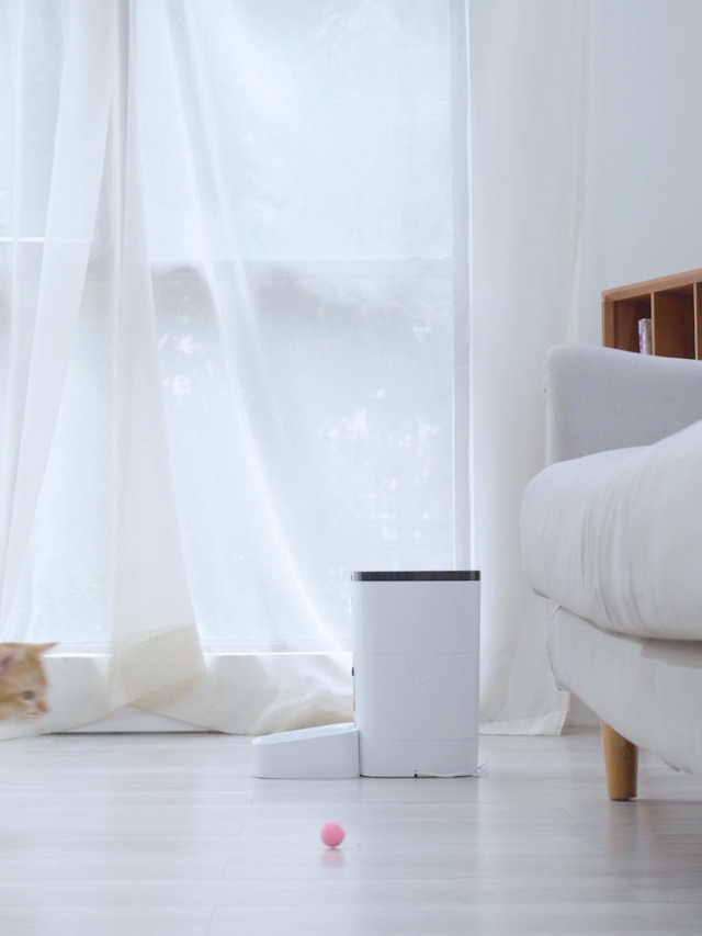 Automatic Cat Feeder,6L WiFi Smart Dog Feeder with HD Camera, Auto Pet Food Dispenser,Voice and Video Recording… - Image 7