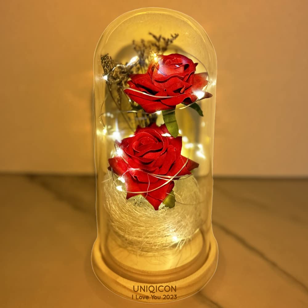 Uniqicon Women's 2Fr-Dark Red Eternal Rose Enchanted Sparkly Flower Artifical, Beauty And The Beast Infinity Galaxy Preserved Roses Lamp, Forever Glass Dome Gifts For Anniversary Mothers Girlfriend Wife Her Birthday