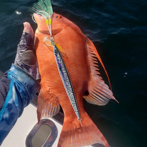 Gefischtter Fishing Jigs Vertical Saltwater Jigs Metal Jigging Spoon Slow Jigging Pitching Fishing Lures With Assist Hooks For Tuna,Bass,Dogtooth,Grouper/200G (Sliver 6.35Oz) #TOP6