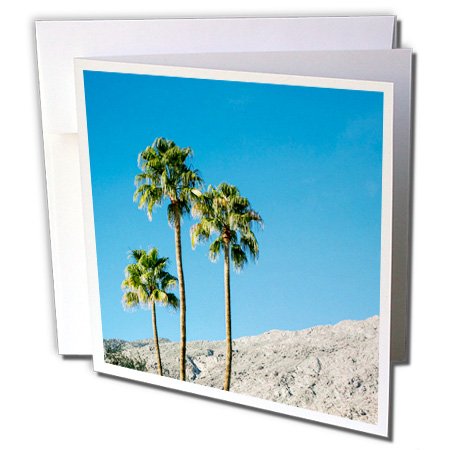 3dRose gc_230140_1 6 x 6-Inch "Scenic of Palm Trees, Palm Springs, California, USA" Greeting Card (Pack of 6)