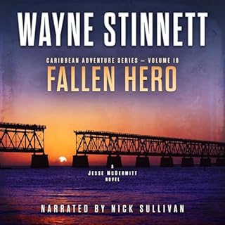 Fallen Hero Audiolibro Por Wayne Stinnett arte de portada