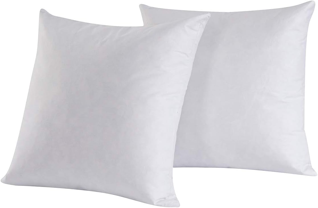 HOMESJUN Set of 2, Feather and Down Square Decorative Throw Pillow Insert, 100percent Cotton,White,20x20