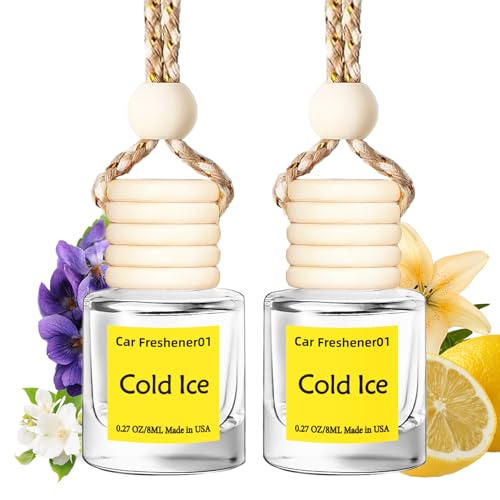 Image of Hanging Car Air Freshener, Long Lasting Scent, Cute Air Fresheners for Women, 2 Pack Non-Toxic Essential Oil Diffuser, Made in USA