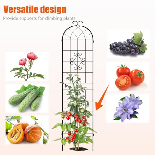 Image of LZRS 2 Pack 78.7x20in Rustic Iron Arch Decoration Garden Trellis with Black Metal Coating - Perfect for Supporting Climbing Plants Outdoor, Roses, Vines, Flowers, and Vegetables.