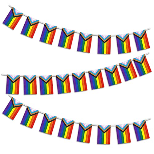 Pride Bunting Flags Progress Pride Decorations Bunting 8.5m Rainbow Banner with 25 LGBT Flags as Gay Pride accessories on Indoor/Outdoor LGBT Festival Party Celebration Carnival Home Bars