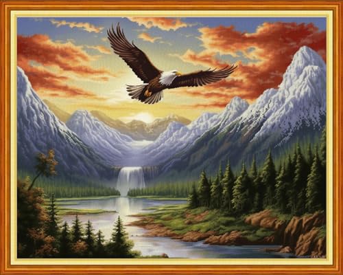 Image of Dimensean Stamped Cross Stitch Kits Full Range of Embroidery Patterns Starter Kits for Beginners Adult DIY Cross Stitches Needlepoint Kits 11CT-Eagles Soaring 16x20 inch