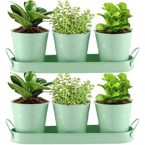 Hicarer 2 Sets Herb Planter with Tray Metal Herb Garden