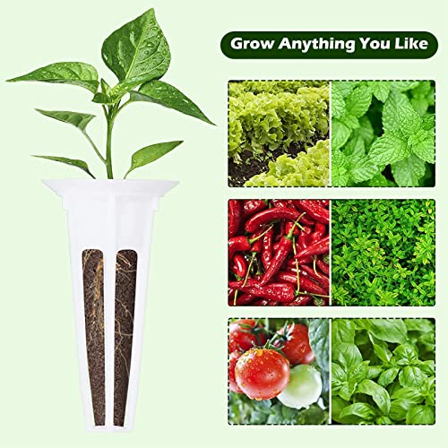 Kit Hydroponique LetPot 172 Pièces - 60 Éponges Tourbe, 25 Paniers, 25 Dômes Germination, 2 Engrais A+B, 60 Étiquettes, Culture Sans Terre Intérieur
