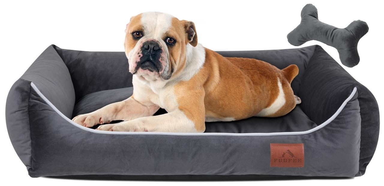 FUUFEE Lux Dog Bed | 60x40 cm | Cozy Sofa for Small Dogs | Comfortable and Washable | with Removable Cover | Perfect for Your Pet's Rest and Relaxation | Graphite