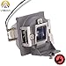 5J.J9R05.001 Replacement Projector lamp with Housing for BenQ Projectors