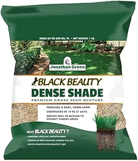 Jonathan Green (10622) Black Beauty Dense Shade Grass Seed - Cool Season Lawn Seed (1 lb)