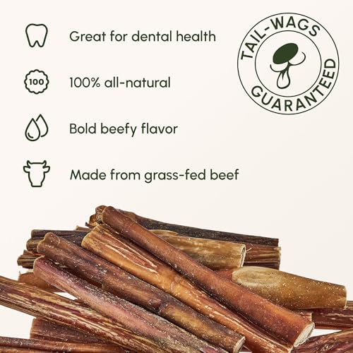 Image of Downtown Pet Supply Bully Sticks for Dogs - Natural 6 Inch Beef Chews, Odor-Free & Rawhide-Free, Long Lasting Dog Treats for Aggressive Chewers - Healthy, Safe & Delicious Chews Dogs Love (10 Pack)