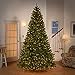 National Tree Company Pre-Lit Artificial Full Christmas Tree, Green, North Valley Spruce, White Lights, Includes Stand, 9 Feet