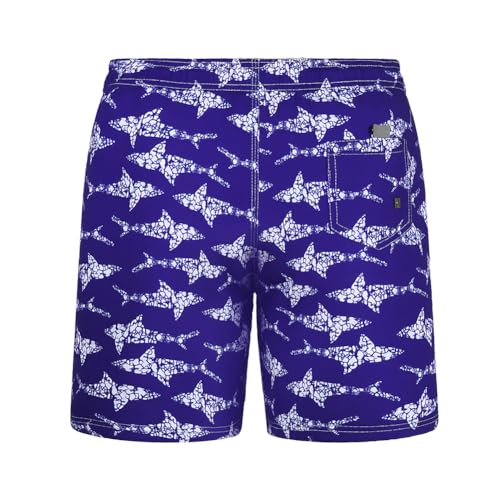HAGOT Boys Swimming Trunks, Kids Board Shorts Beach, Quick Dry Boys Swim Shorts,Sports Running Swim Board Shorts Blue