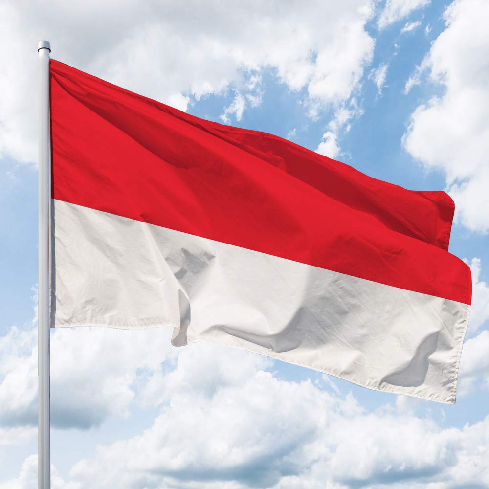 Deitert Bundesland-Flagge Hessen – 200x120 cm Hessen Fahne ohne Wappen, Hissfahne aus reißfestem Polyester