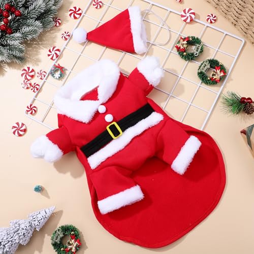 Disfraz para Perros Santa Claus XL Ropa Navideña miniatura 5