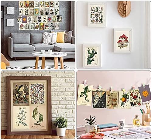 Upriver 70Pcs Wall Collage Kit Vintage Aesthetic Posters Room Decor 4x6 inch Flora & Fauna Wall Art Prints for Bedroom, Aesthetic VSCO Picture Wall Collage, Retro Room Decor for Boys Girls