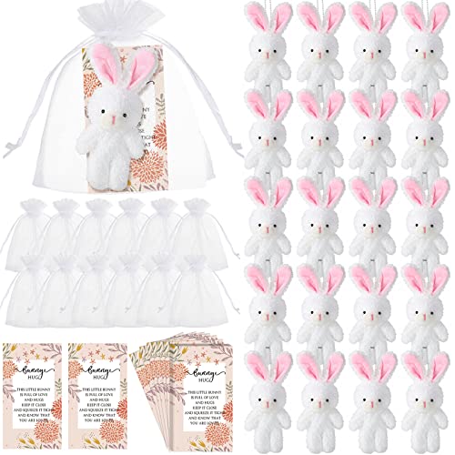 Fuutreo 24 Sets Bunny Stuffed Animal Gift Easter Decorations Mini Plush Bunny Stuffed with Thank You Hug Cards Organza Bags for Easter Employee Teacher Students Birthday Party Favors(Sweet Bunny)