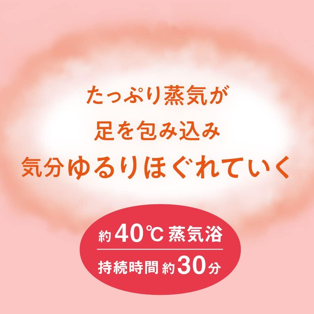 めぐりズム蒸気でじんわり 足シート 無香料 6枚入×2セット+おまけ付き