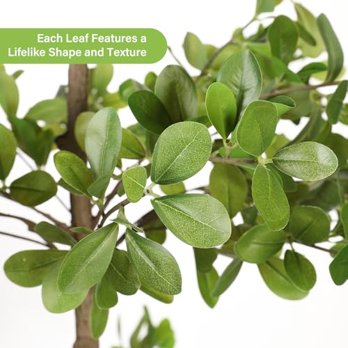 FEELEAD Faux Black Olive Tree 7ft – Artificial Shady Lady Tree with Realistic Leaves & Natural Branches, 7 Feet Tall Fake Olive Tree for Indoor Home & Office Decor