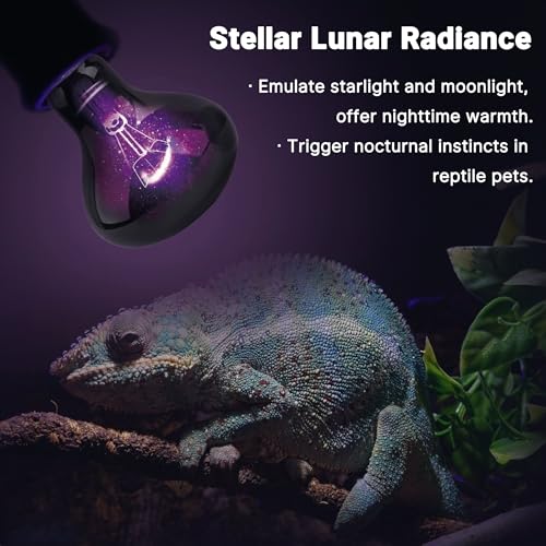 Image of 75W Reptile Night Light Bulb, UVA Heat Lamp, Purple Basking Lamp | Provides Soft Moonlight Glow, Helps Maintain Natural Sleep Patterns & Behaviors for Lizards, Chameleons, Geckos & Reptiles