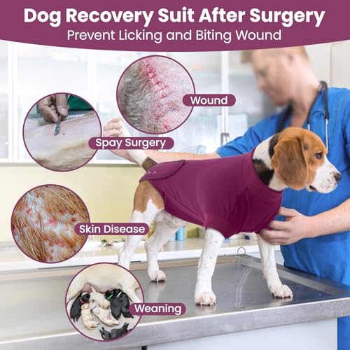 Image of IDOMIK Dog Recovery Suit for Neuter Spay,Anti-Licking Dog Surgical Bodysuit | Soft Dog Recovery Onesie Protects Abdominal Wounds, Easy to Wear, Easy Potty Breaks, E-Collar Cone Alternative,Purple,S