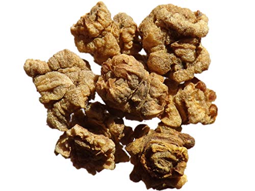 Betterave Fourragère Jaune de Vauriac - 100 grammes - Beta Vulgaris - SEM20