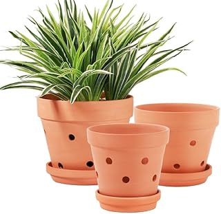 Yishang Terracotta Orchid Pots with Saucer&Holes,Clay Orchid Planter Pot...