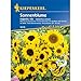 Produktbild Sonnenblume Majestic Mix, Mischung klassischer Sonnenblumen mit dunkler und heller Mitte, gute Bienenweide