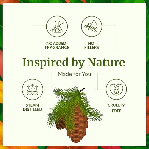 Image of SVA Organic Fir Balsam Essential Oil with Dropper, 1 Fl Oz (30 ml) | Fir Balsam Essential Oil for Diffuser, Room Spray, Home Fragrance, Soap, Candle, Bath Blends & DIY Blending in Glass Bottle