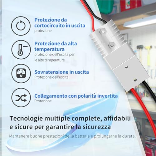 Redodo 14,6V 20A Caricabatterie Lifepo4 per Batterie Litio Ferro Fosfato, Carica Veloce, Alta Efficienza di Carica, Progettato per Caricare Batterie LiFePO4 a Ciclo Profondo