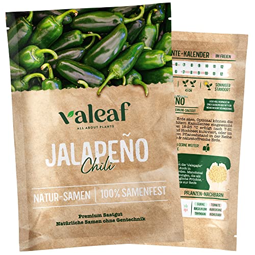 valeaf Chili Jalapeno Samen I Premium Jalapeno Chili Samen zur Chili Anzucht I Von scharf bis mild I Chili-Vielfalt als samenfestes Chili Saatgut I Pflanzen Samen zum Chili Pflanzen Cover