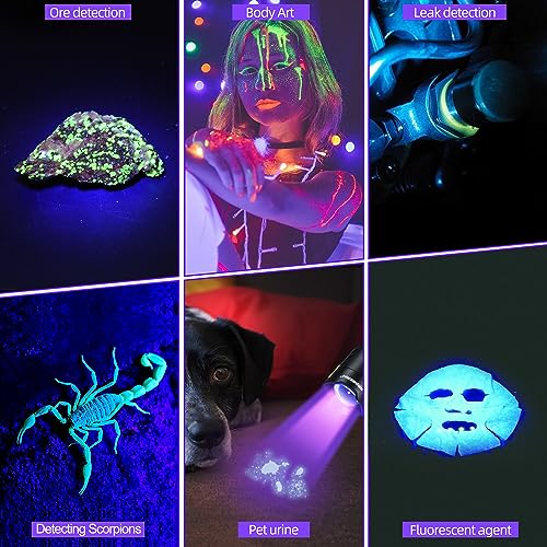 Darkdawn D61-DD-395NM Uv Flashlight 395Nm Black Light Mini Usb Rechargeable Ultraviolet Led Blacklight Woods Lamp Powerful Fluorescent Portable Detector thumb #5