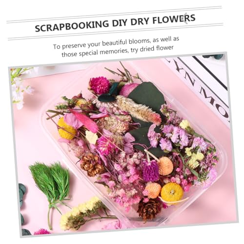 6 cajas flores secas naturales para manualidades miniatura 5