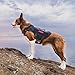 OneTigris Hundegeschirr Kleine Hunde, AIRE MESH Taktisches Anti Zug Geschirr mit 2 Griff Verstellbar Brustgeschirr No Pull Dog Harness Atmungsaktiv Schwarz XS